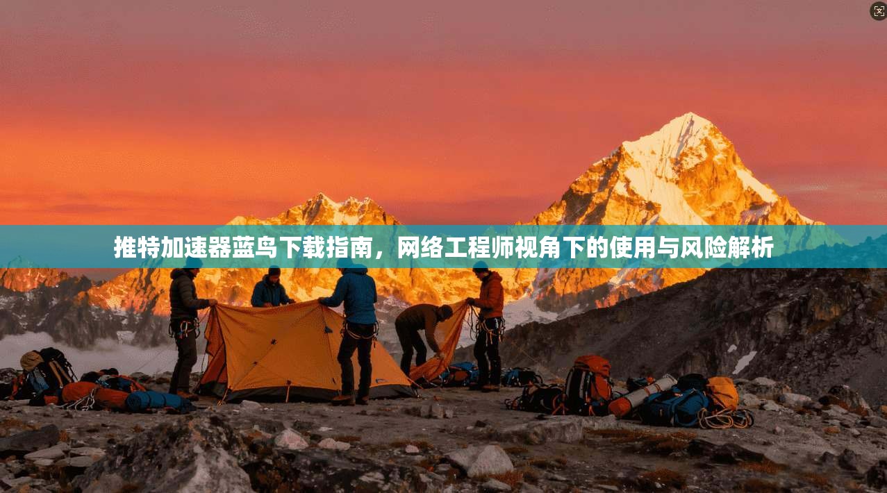 推特加速器蓝鸟下载指南，网络工程师视角下的使用与风险解析