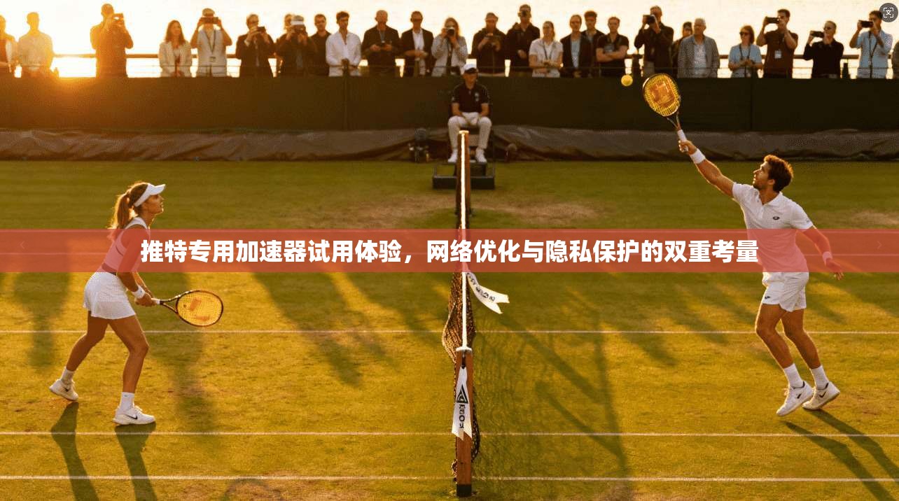 推特专用加速器试用体验，网络优化与隐私保护的双重考量