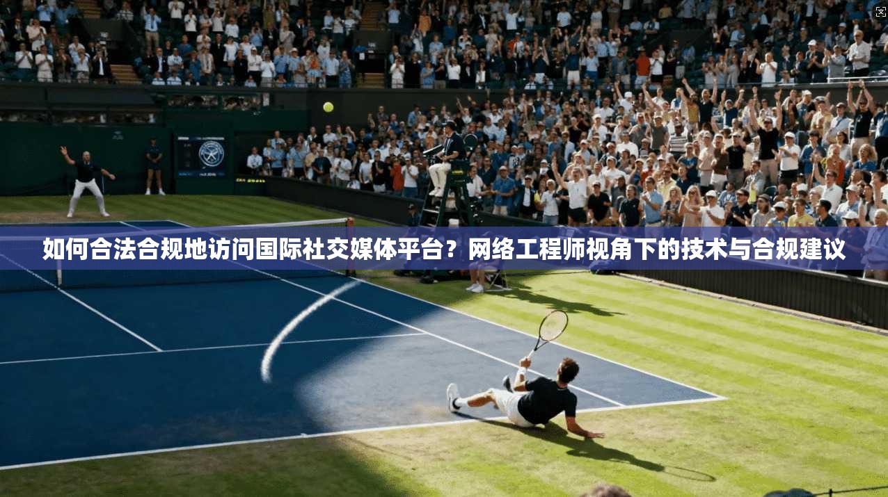 如何合法合规地访问国际社交媒体平台？网络工程师视角下的技术与合规建议