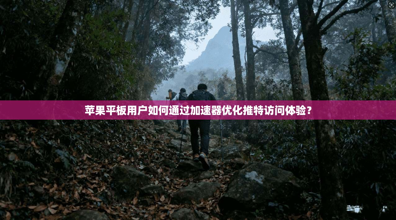 苹果平板用户如何通过加速器优化推特访问体验？