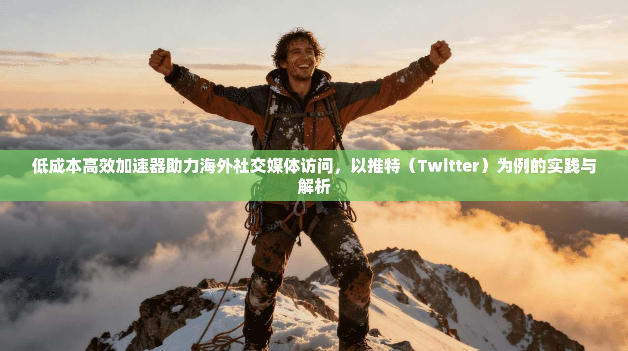 低成本高效加速器助力海外社交媒体访问，以推特（Twitter）为例的实践与解析
