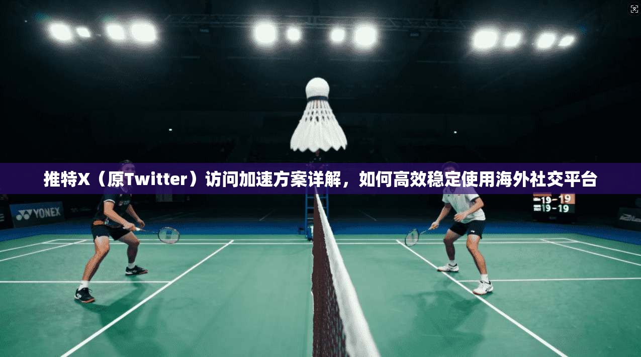 推特X（原Twitter）访问加速方案详解，如何高效稳定使用海外社交平台