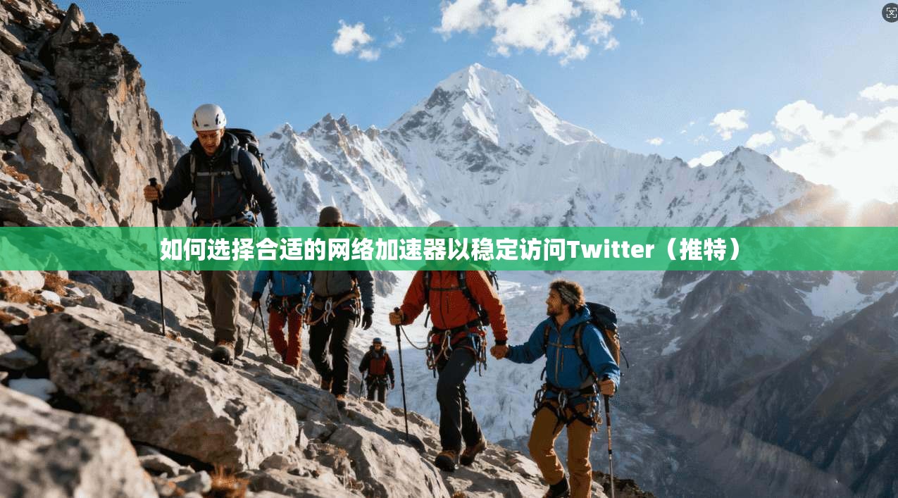 如何选择合适的网络加速器以稳定访问Twitter（推特）