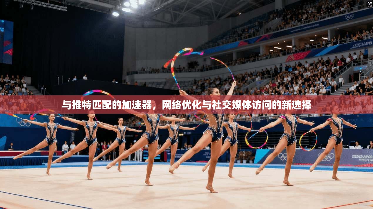 与推特匹配的加速器，网络优化与社交媒体访问的新选择