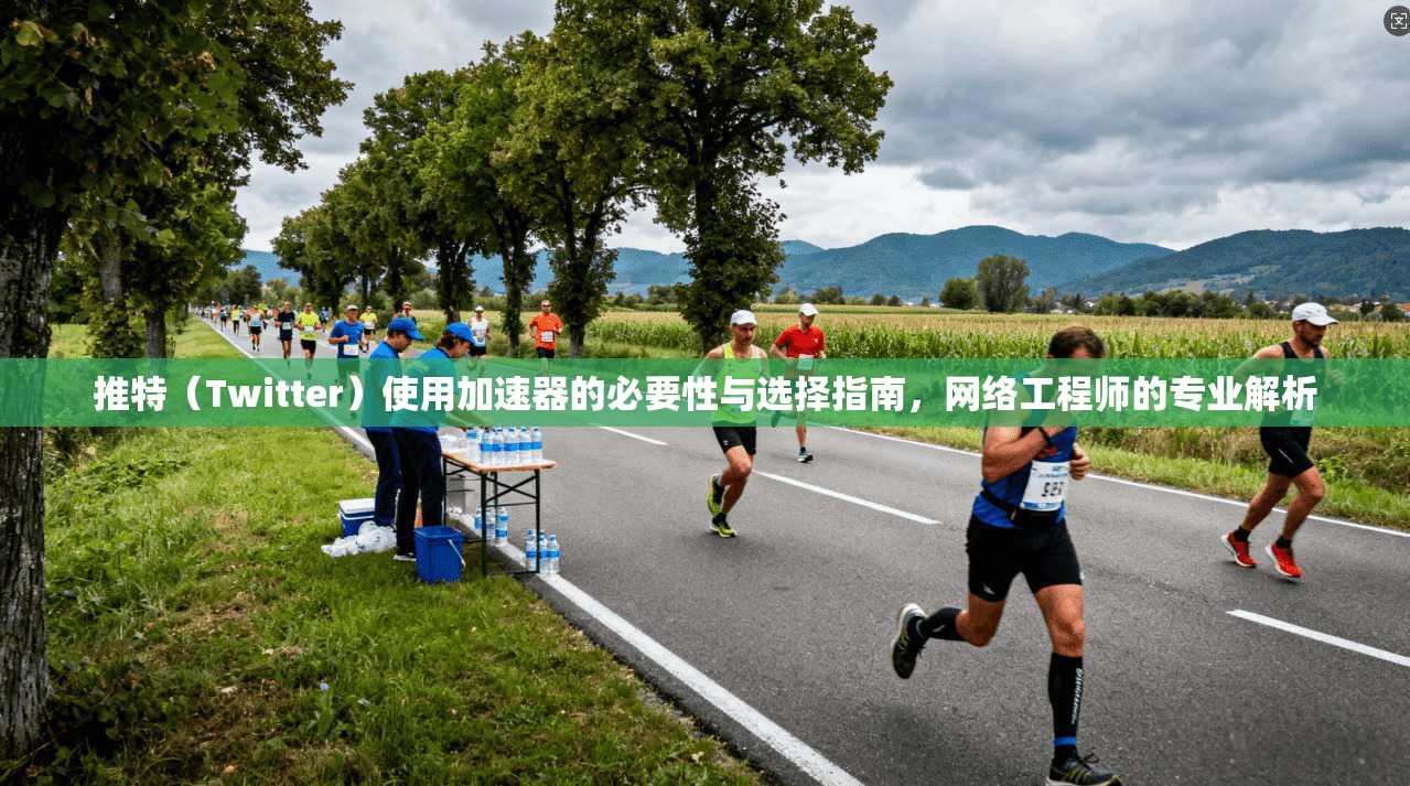 推特（Twitter）使用加速器的必要性与选择指南，网络工程师的专业解析