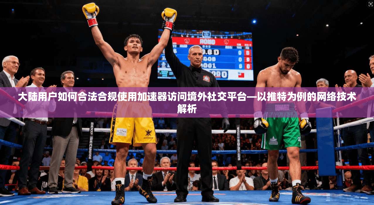 大陆用户如何合法合规使用加速器访问境外社交平台—以推特为例的网络技术解析