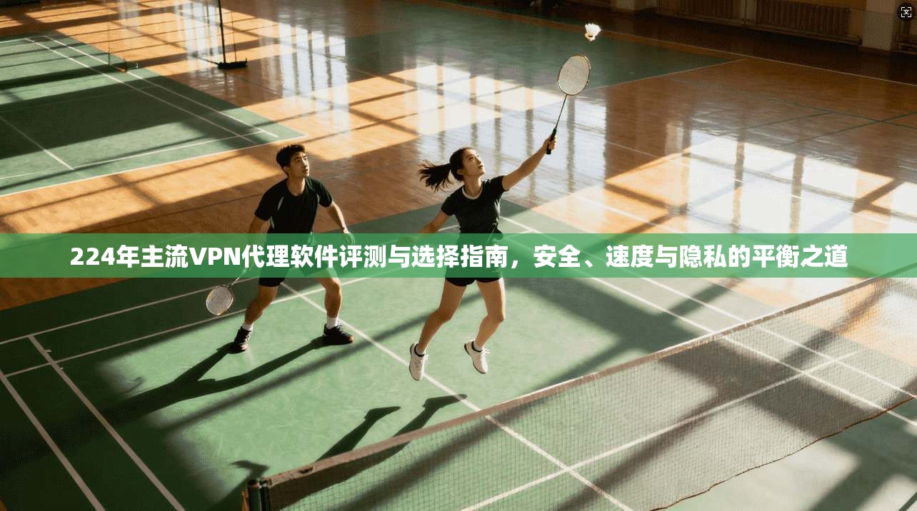 224年主流VPN代理软件评测与选择指南，安全、速度与隐私的平衡之道
