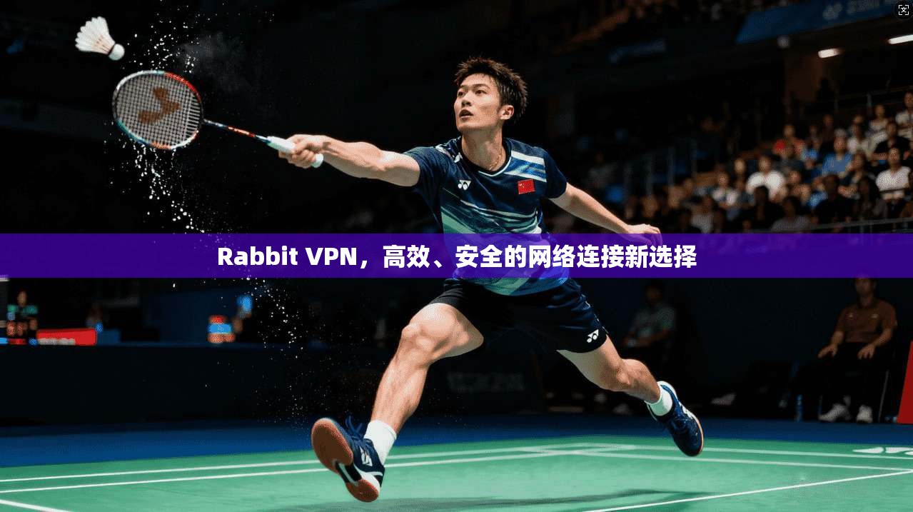 Rabbit VPN，高效、安全的网络连接新选择