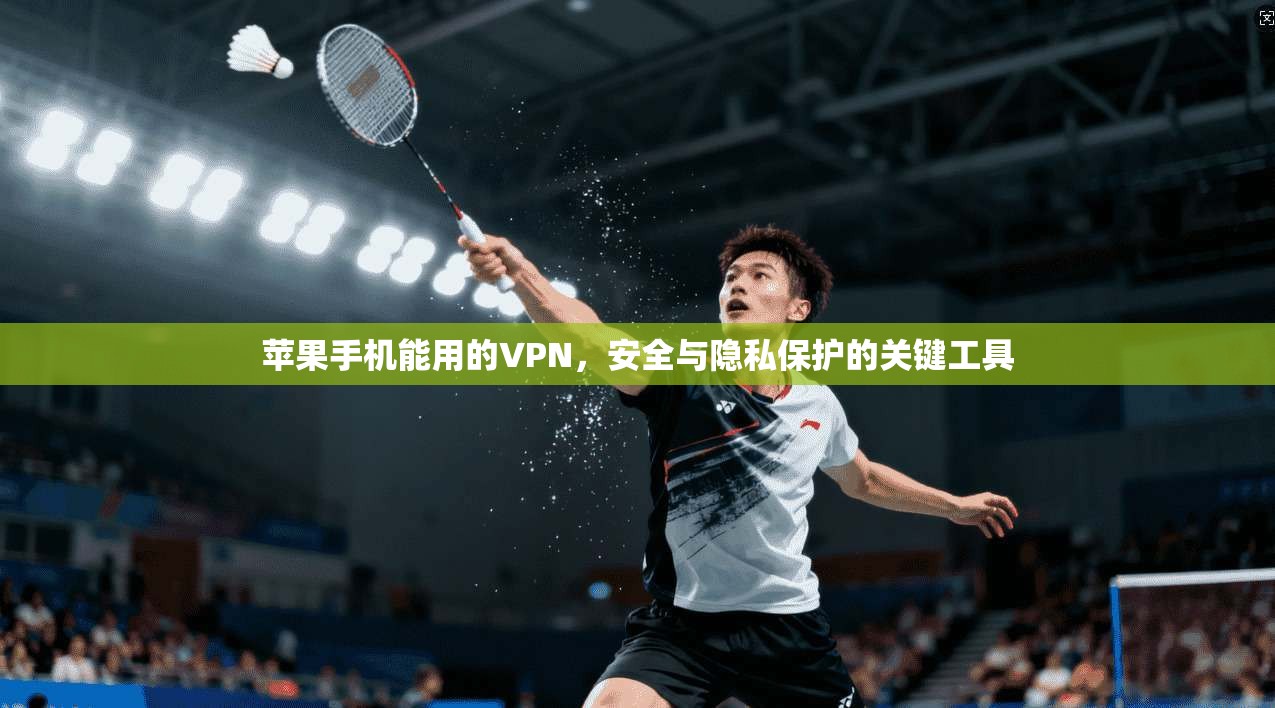苹果手机能用的VPN,安全与隐私保护的关键工具