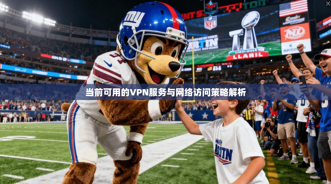 当前可用的VPN服务与网络访问策略解析