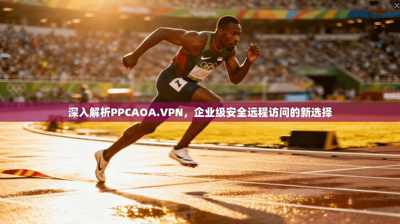 深入解析PPCAOA.VPN，企业级安全远程访问的新选择
