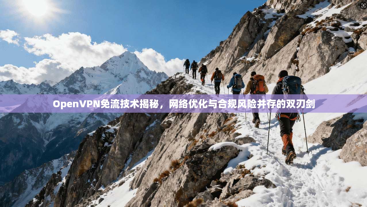 OpenVPN免流技术揭秘，网络优化与合规风险并存的双刃剑
