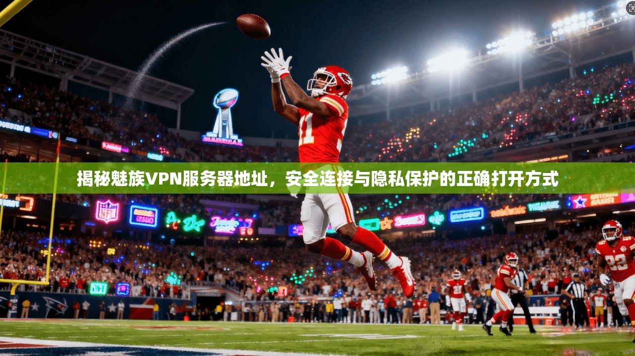 揭秘魅族VPN服务器地址，安全连接与隐私保护的正确打开方式