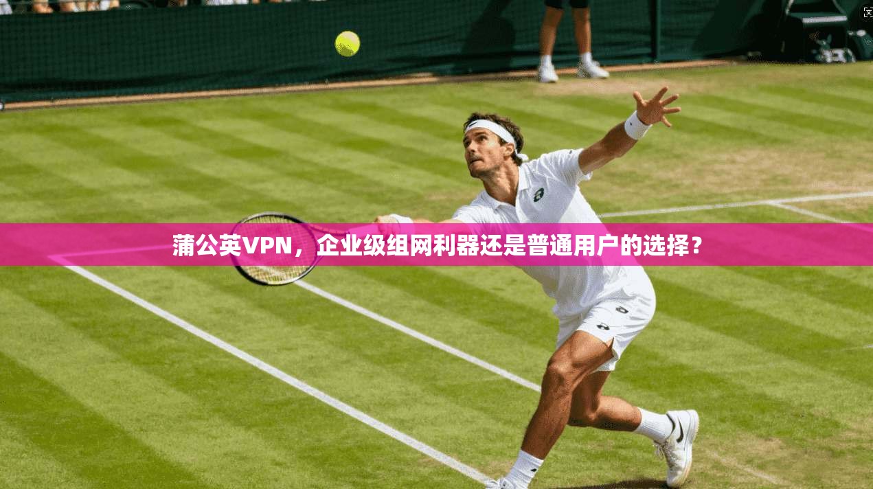 蒲公英VPN，企业级组网利器还是普通用户的选择？