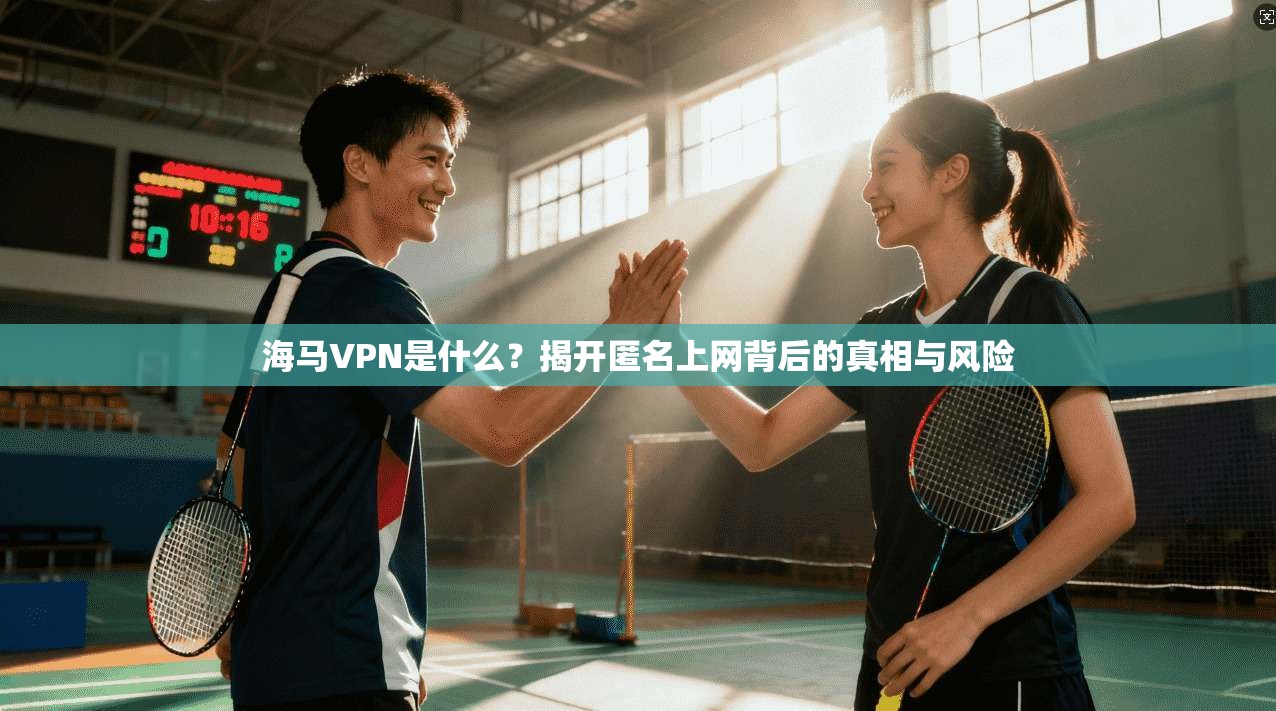 海马VPN是什么?揭开匿名上网背后的真相与风险