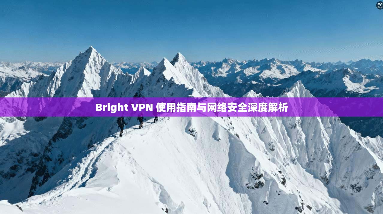 Bright VPN 使用指南与网络安全深度解析