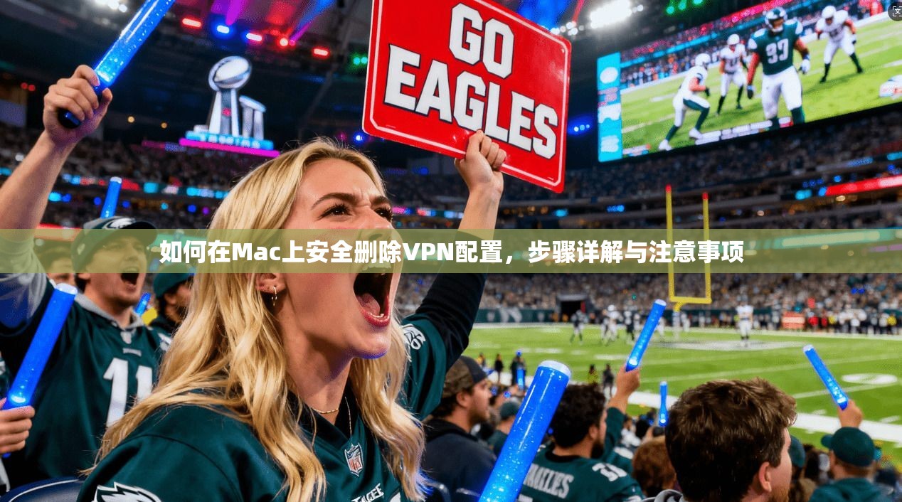 如何在Mac上安全删除VPN配置，步骤详解与注意事项