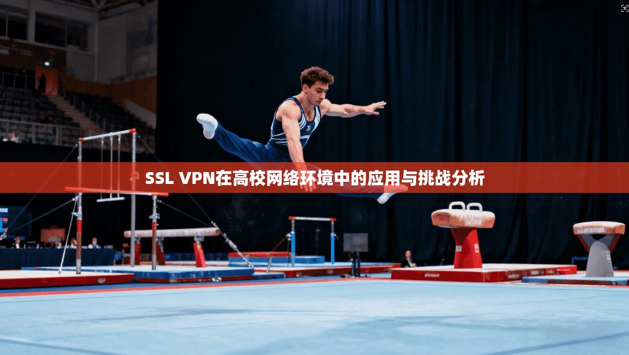 SSL VPN在高校网络环境中的应用与挑战分析