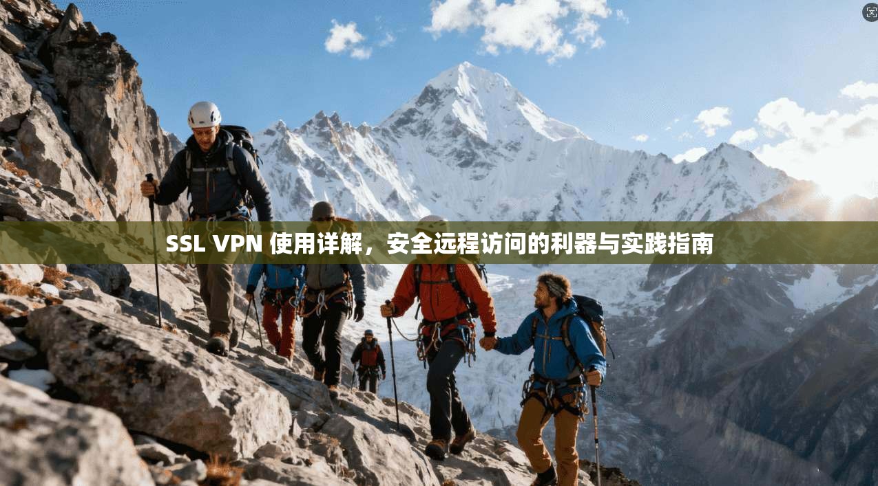 SSL VPN 使用详解，安全远程访问的利器与实践指南