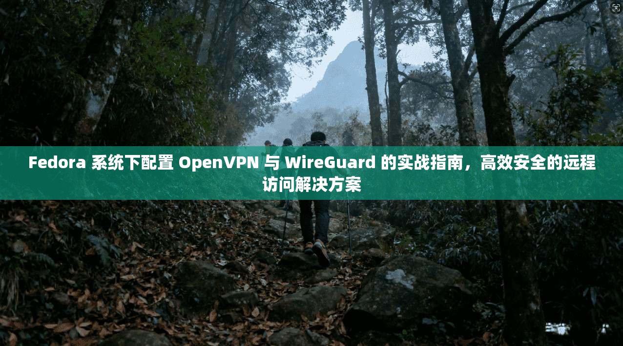Fedora 系统下配置 OpenVPN 与 WireGuard 的实战指南，高效安全的远程访问解决方案
