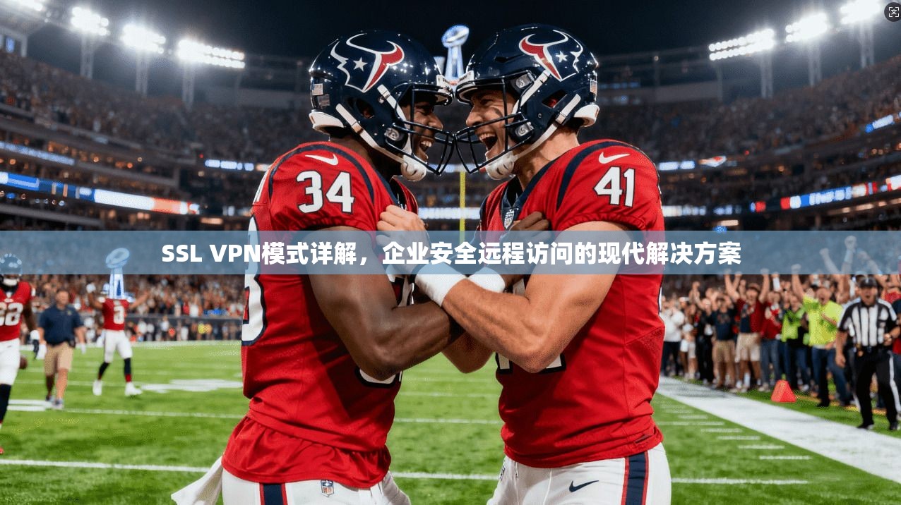 SSL VPN模式详解，企业安全远程访问的现代解决方案