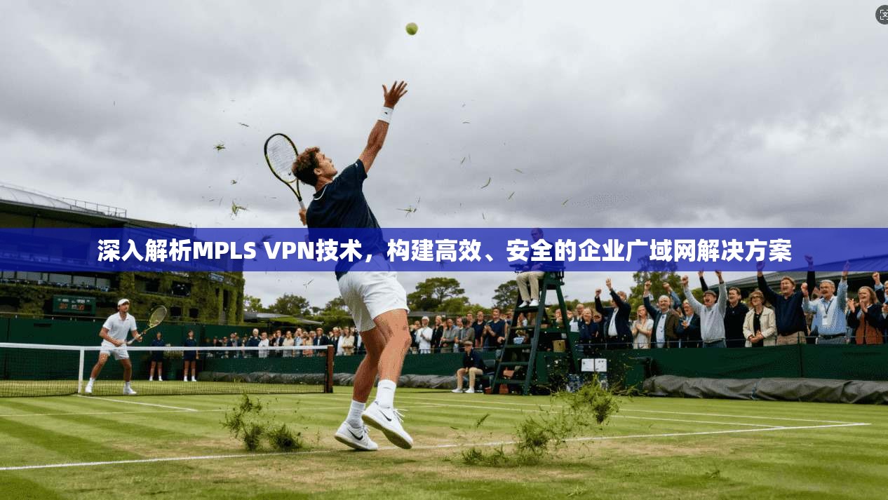 深入解析MPLS VPN技术，构建高效、安全的企业广域网解决方案