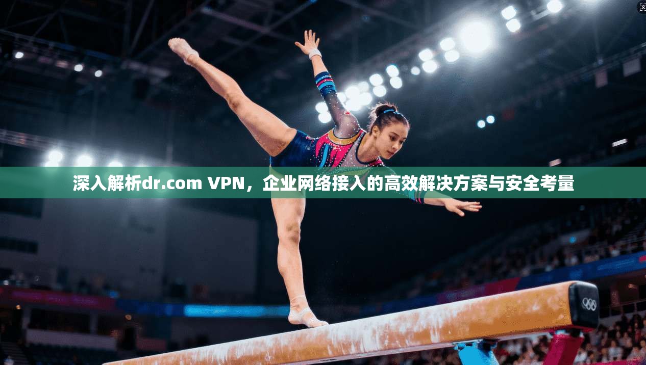 深入解析dr.com VPN,企业网络接入的高效解决方案与安全考量 深入解析dr.com VPN,企业网络接入的高效解决方案与安全考量