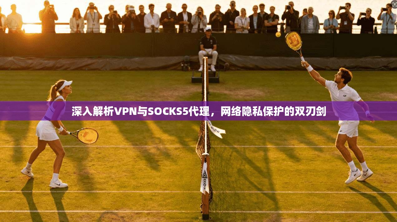 深入解析VPN与SOCKS5代理，网络隐私保护的双刃剑