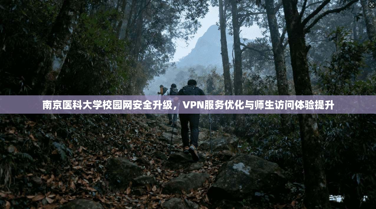 南京医科大学校园网安全升级,VPN服务优化与师生访问体验提升