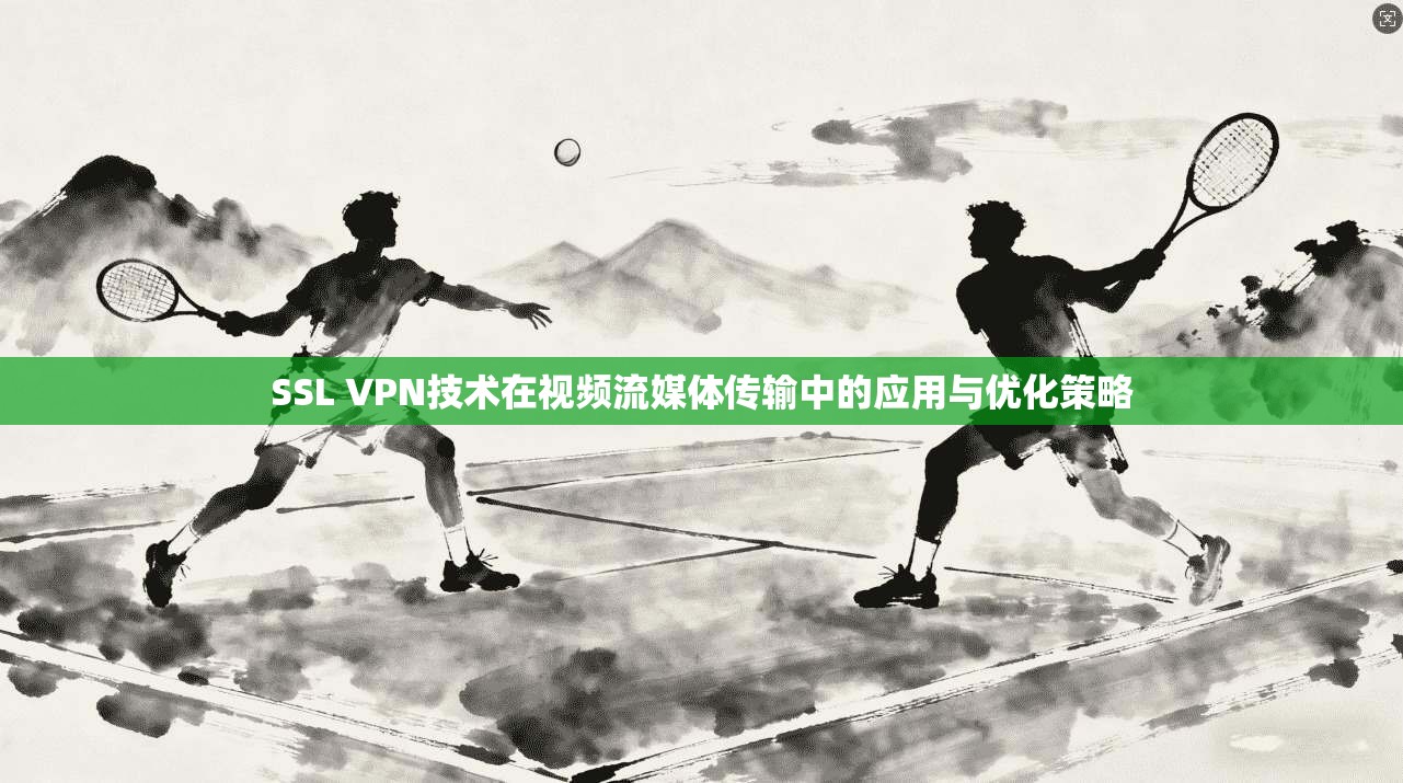 SSL VPN技术在视频流媒体传输中的应用与优化策略