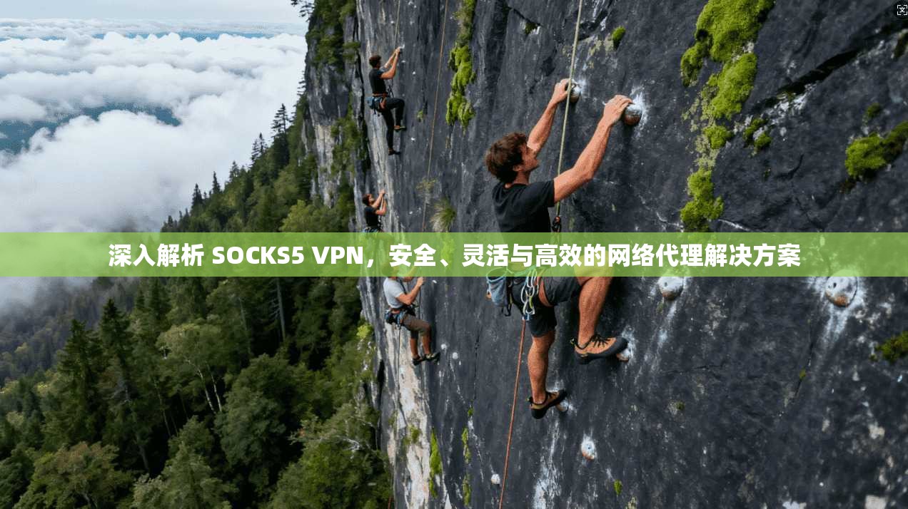 深入解析 SOCKS5 VPN,安全、灵活与高效的网络代理解决方案