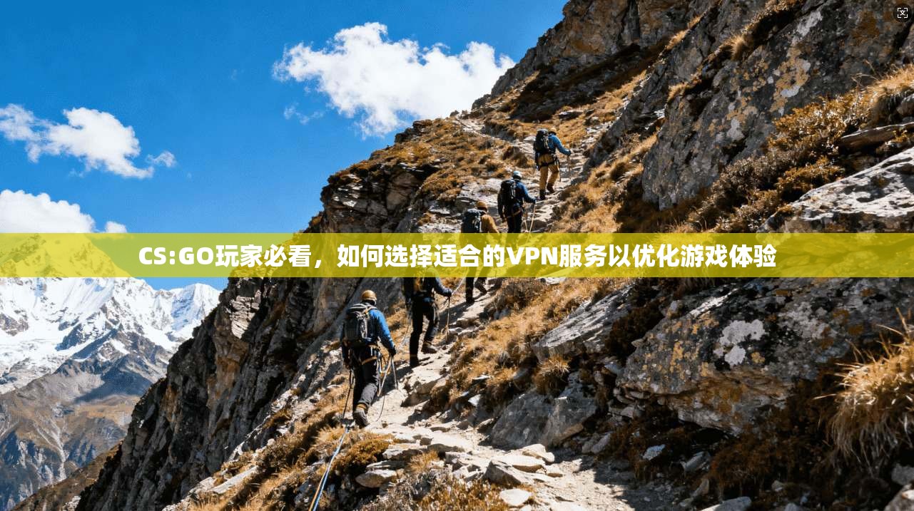 CS:GO玩家必看，如何选择适合的VPN服务以优化游戏体验