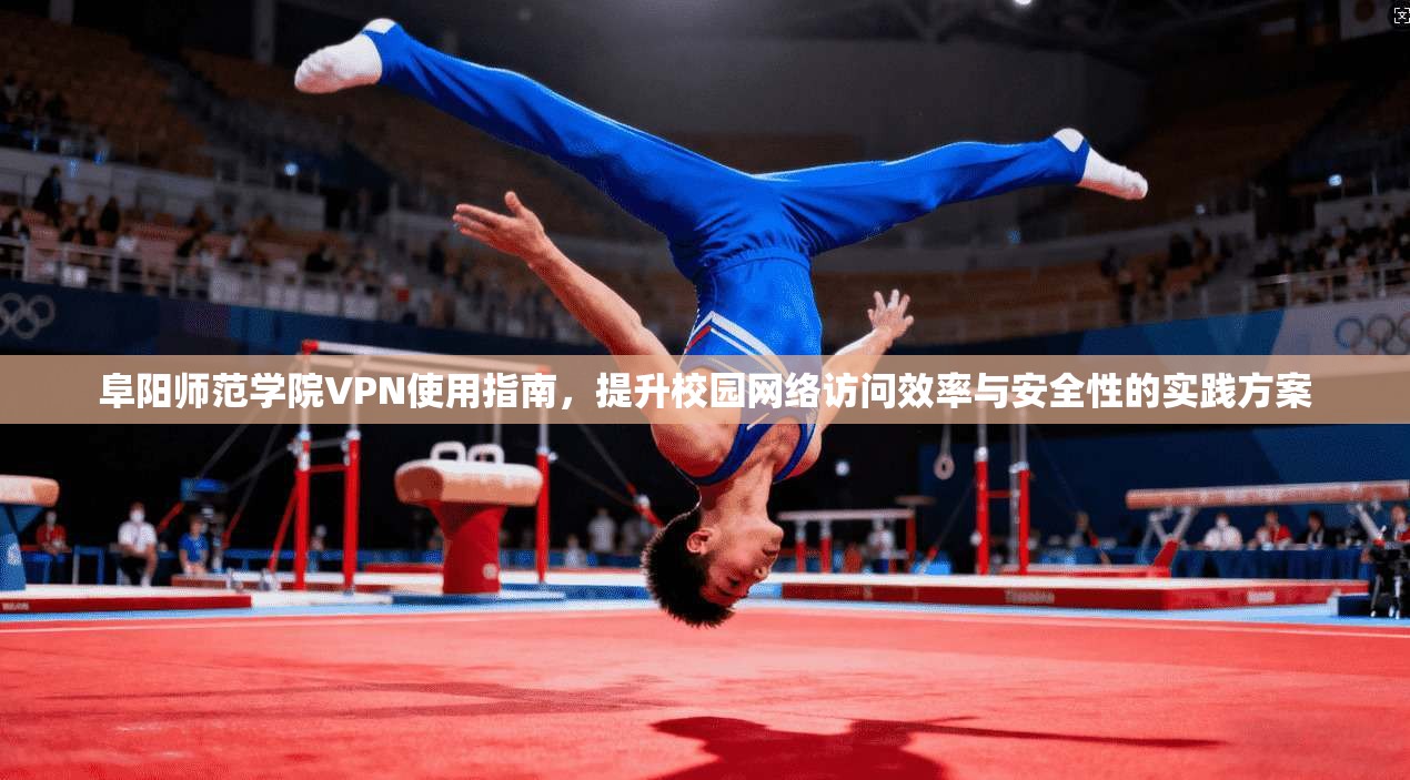 阜阳师范学院VPN使用指南，提升校园网络访问效率与安全性的实践方案