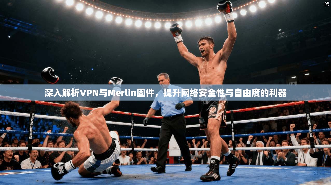 深入解析VPN与Merlin固件，提升网络安全性与自由度的利器