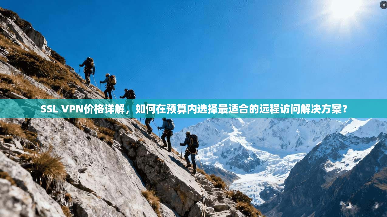 SSL VPN价格详解,如何在预算内选择最适合的远程访问解决方案?