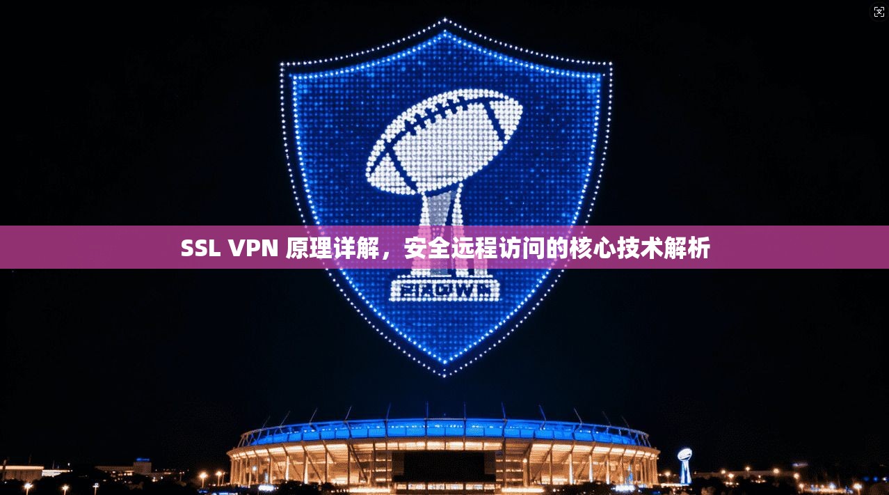 SSL VPN 原理详解，安全远程访问的核心技术解析
