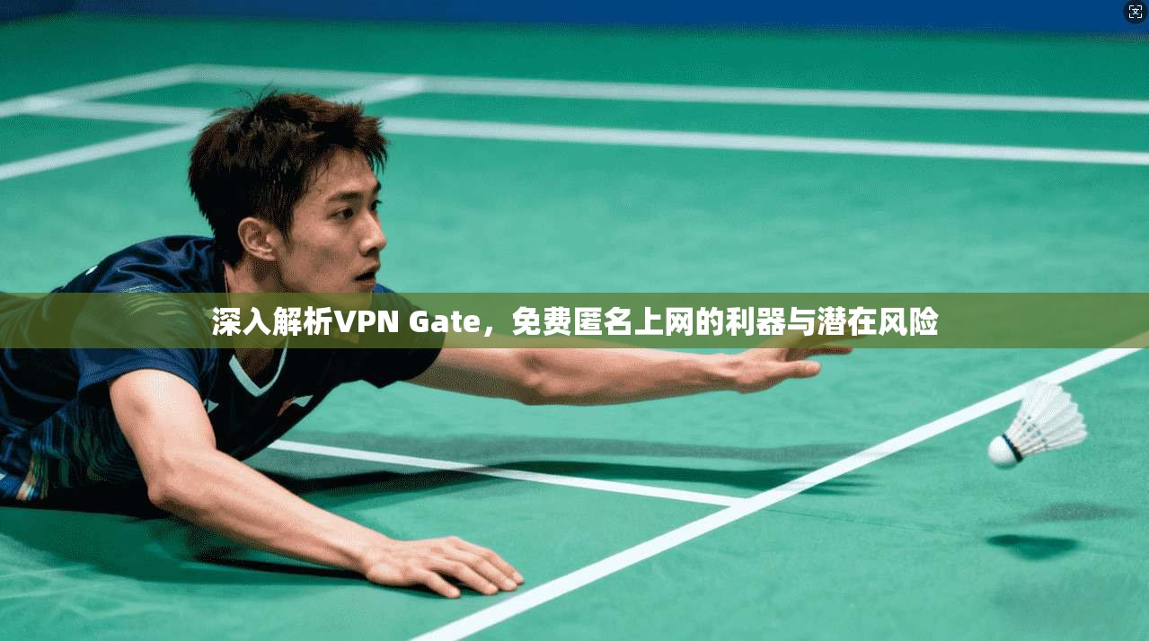 深入解析VPN Gate,免费匿名上网的利器与潜在风险