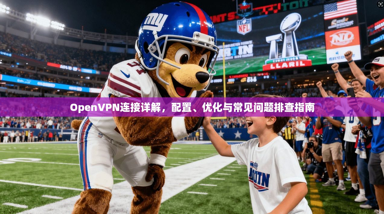 OpenVPN连接详解，配置、优化与常见问题排查指南