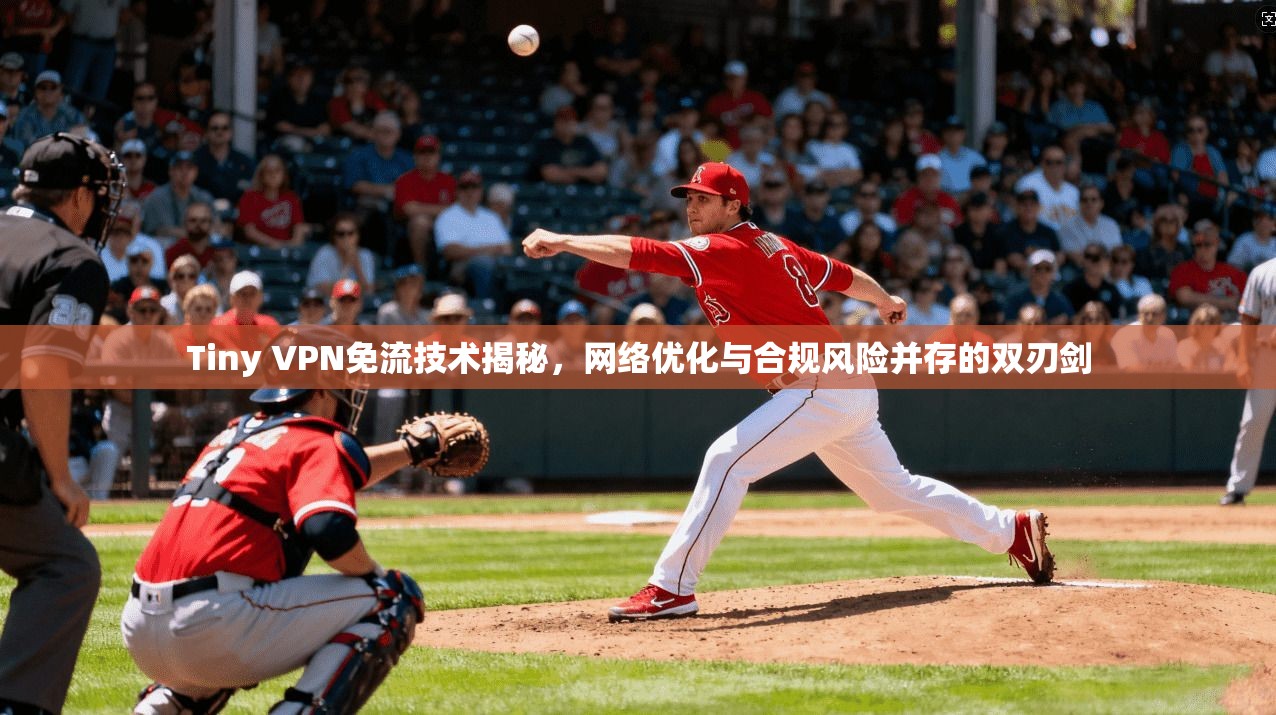 Tiny VPN免流技术揭秘，网络优化与合规风险并存的双刃剑