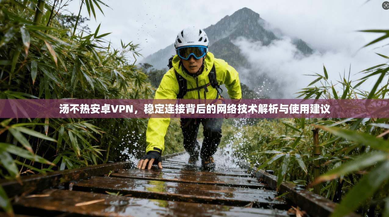 汤不热安卓VPN,稳定连接背后的网络技术解析与使用建议