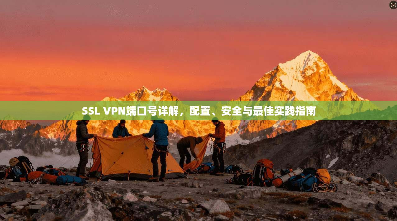 SSL VPN端口号详解，配置、安全与最佳实践指南