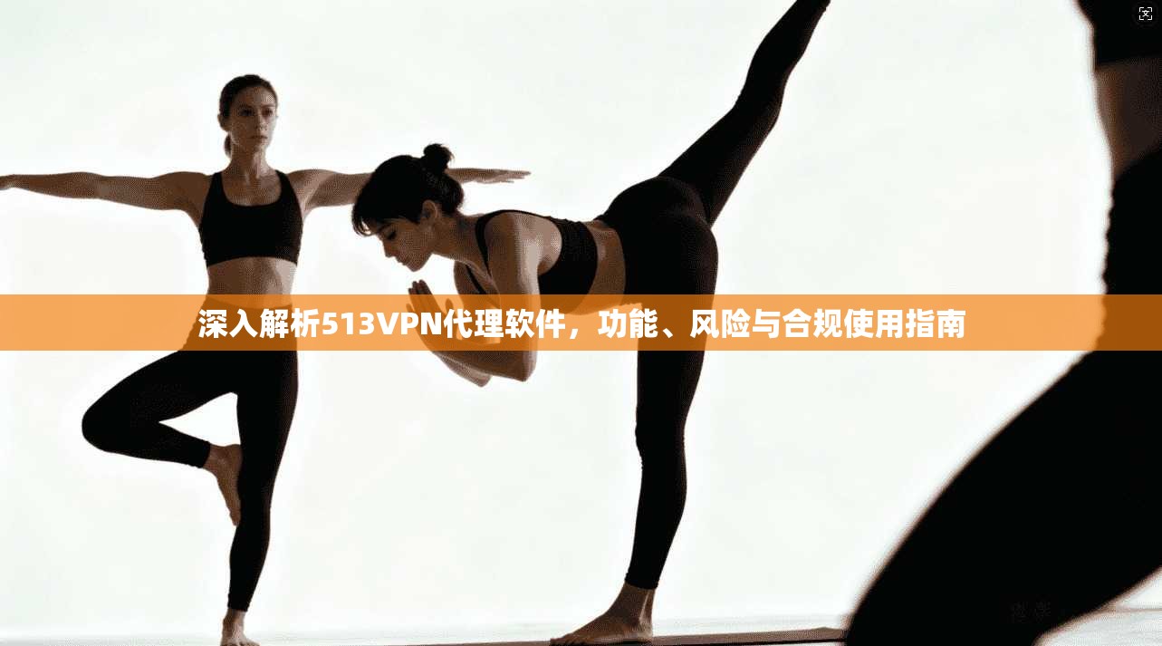 深入解析513VPN代理软件，功能、风险与合规使用指南