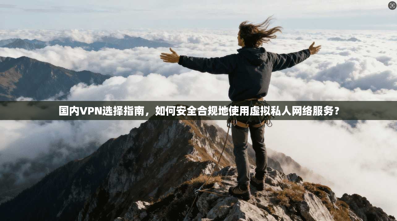 国内VPN选择指南，如何安全合规地使用虚拟私人网络服务？