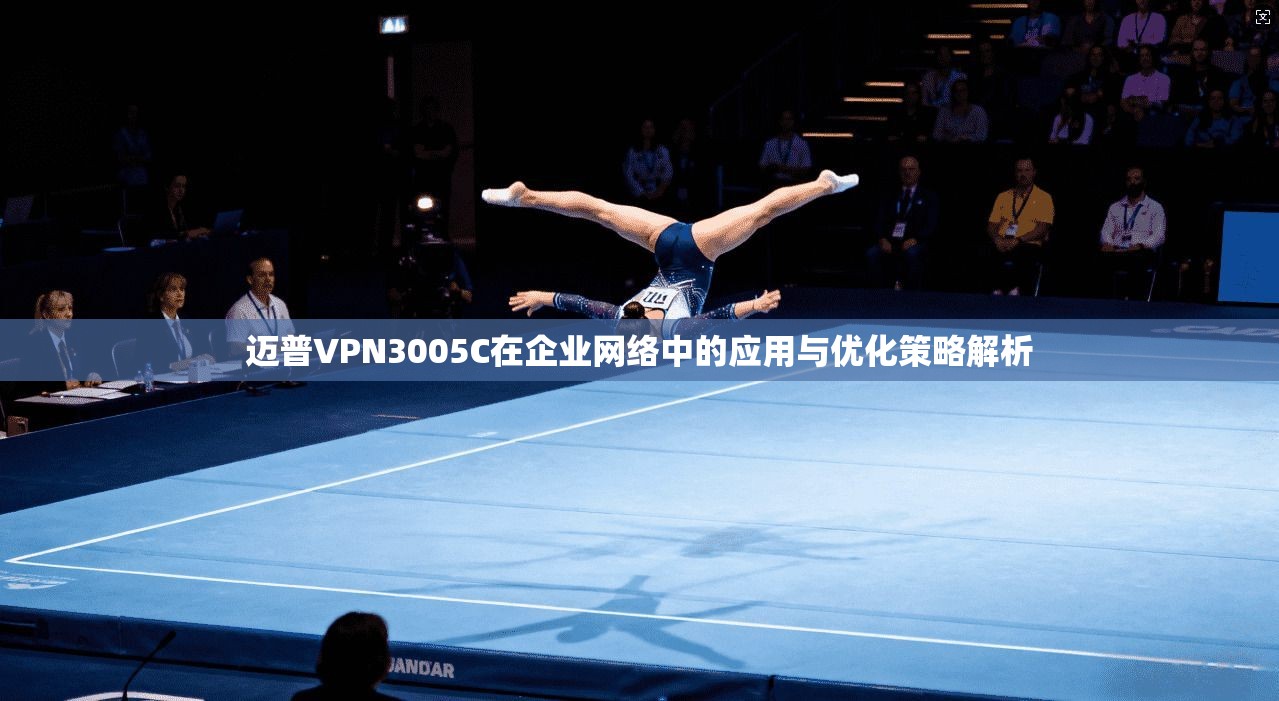 迈普VPN3005C在企业网络中的应用与优化策略解析