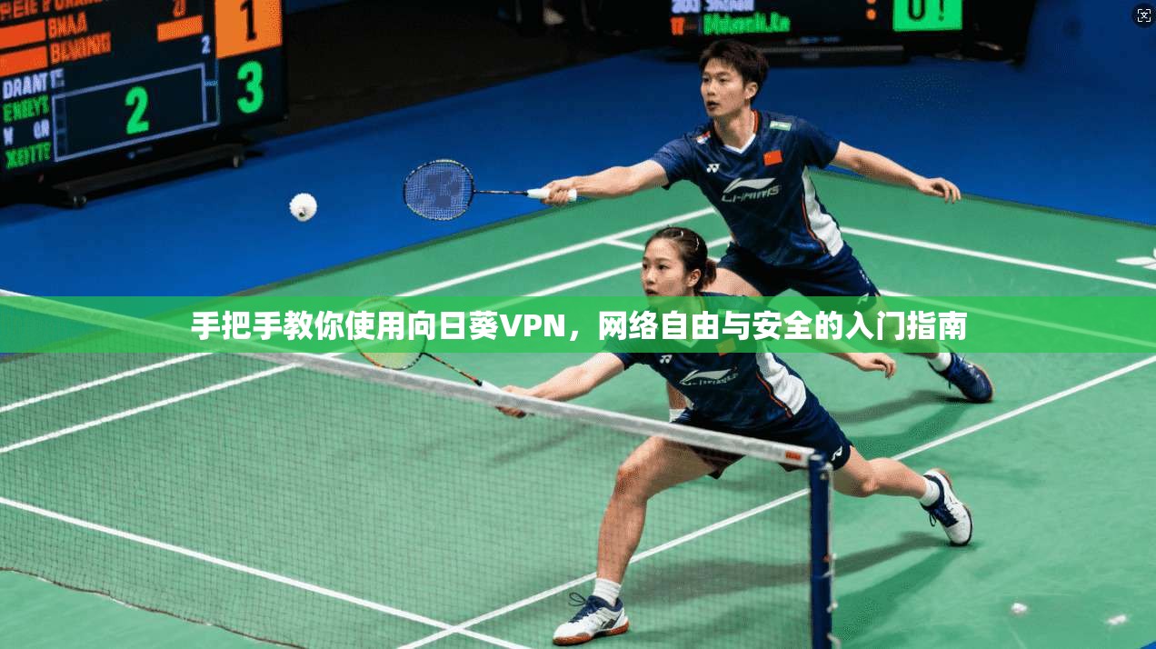 手把手教你使用向日葵VPN，网络自由与安全的入门指南