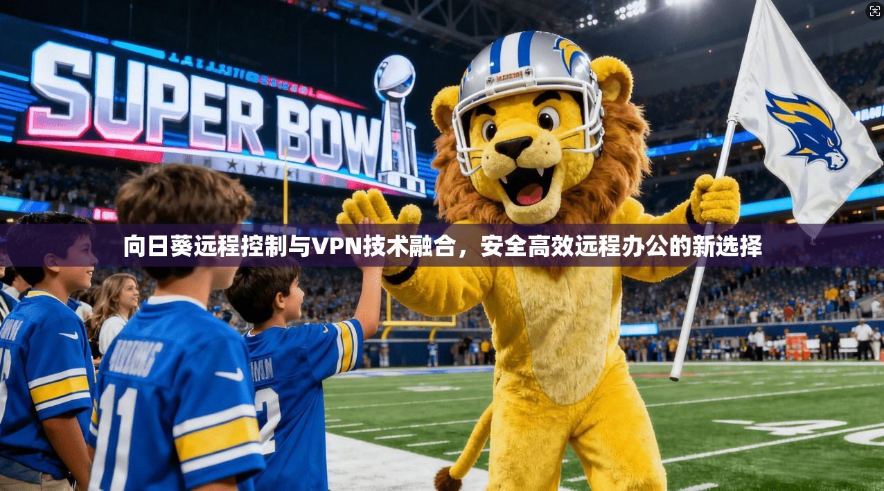 向日葵远程控制与VPN技术融合，安全高效远程办公的新选择