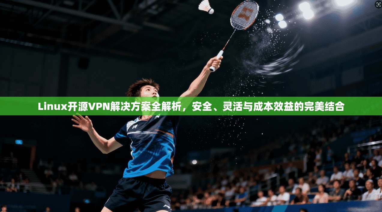 Linux开源VPN解决方案全解析，安全、灵活与成本效益的完美结合