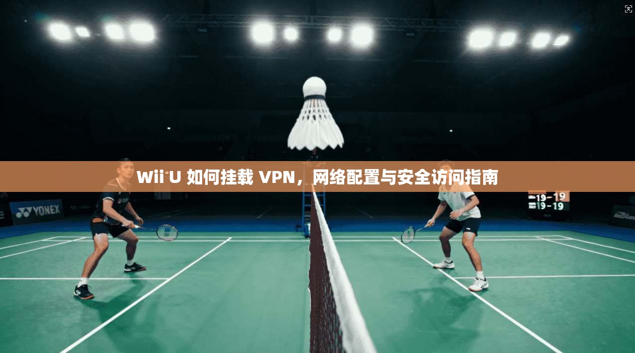 Wii U 如何挂载 VPN，网络配置与安全访问指南