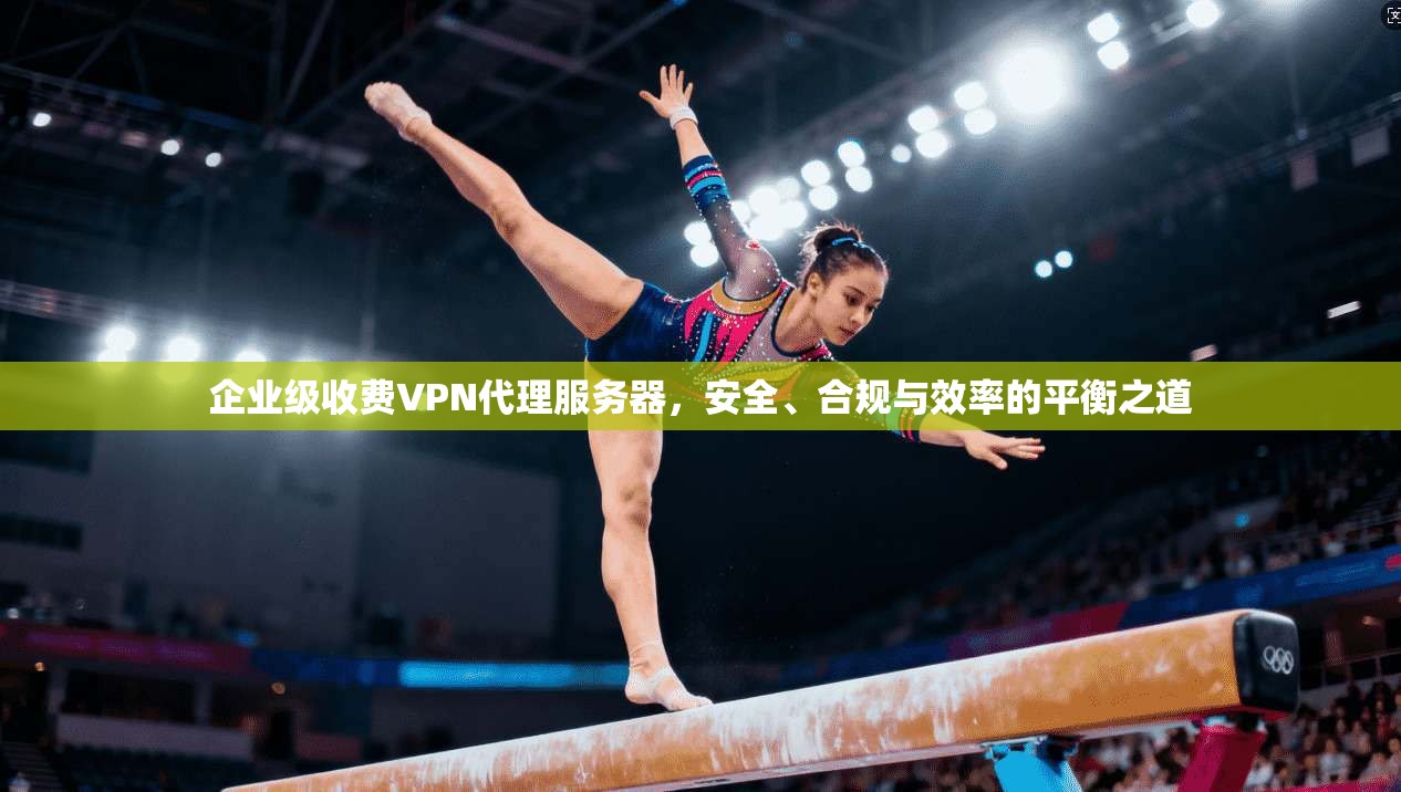 企业级收费VPN代理服务器,安全、合规与效率的平衡之道