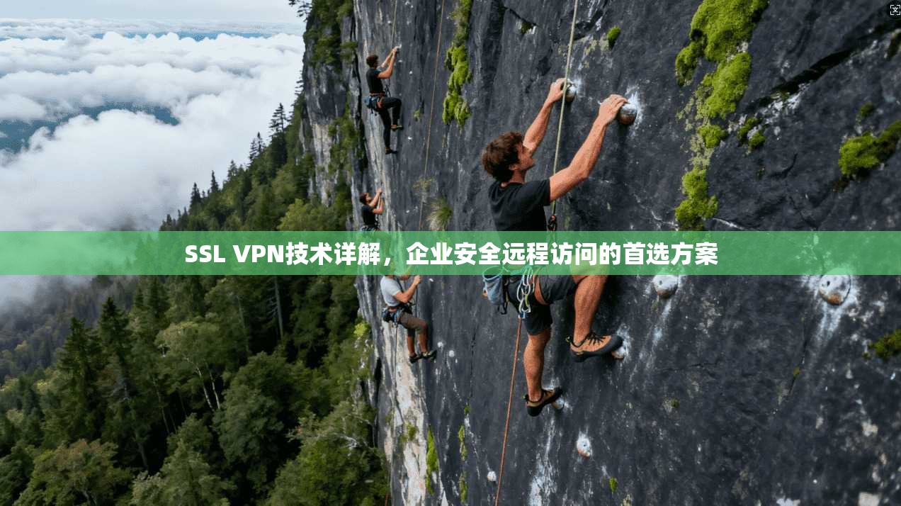 SSL VPN技术详解，企业安全远程访问的首选方案
